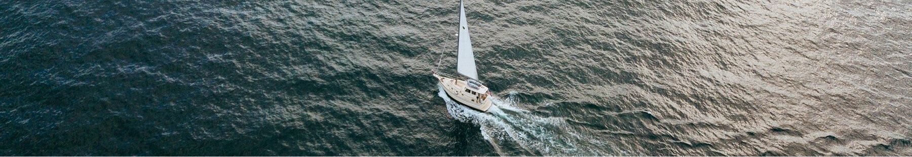Ready for an unforgettable day at sea?